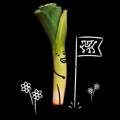 characterAlts.leek_flag