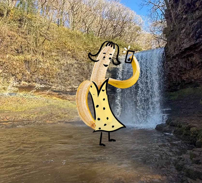 Mae gwastraff bwyd yn cael ei ailgylchu'n ynni gwyrdd yng Nghymru
