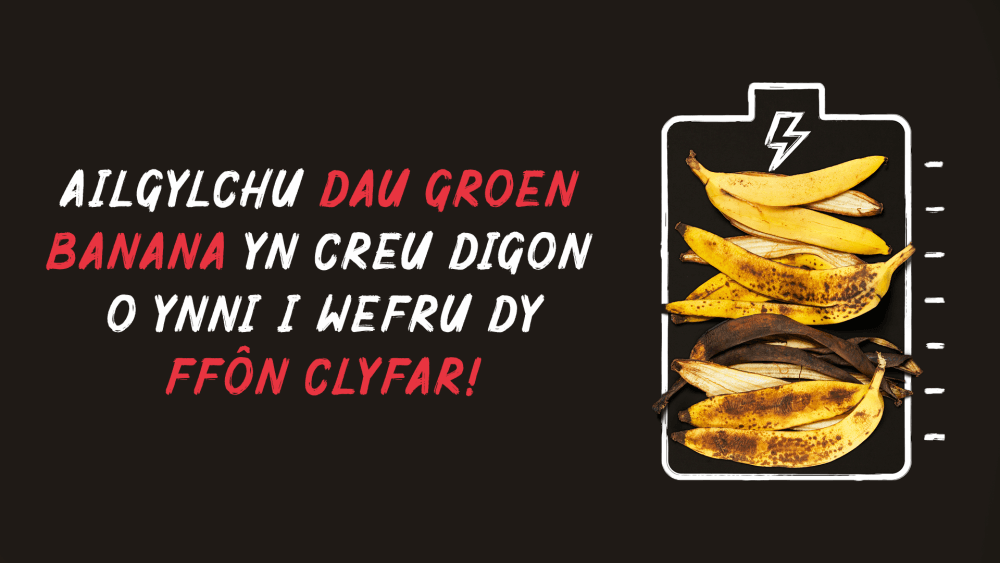 Os na alli di ei fwyta fe, ailgylcha fe!