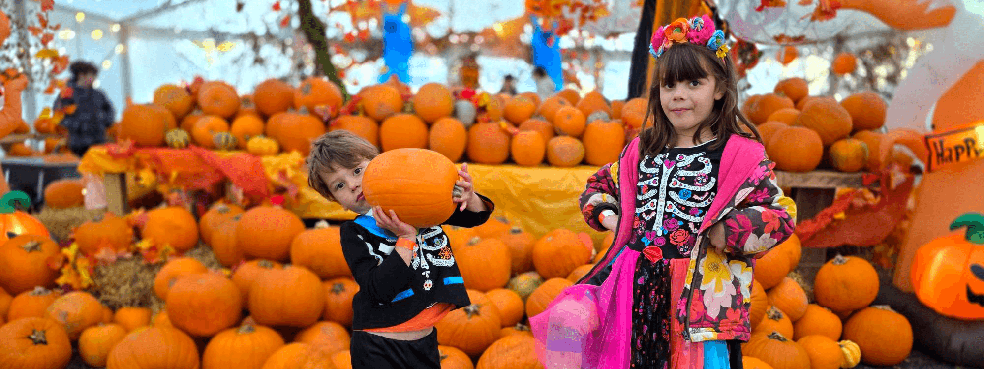 Your autumn adventure. Their next big journey.